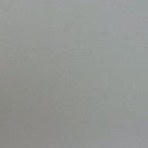 Meet your Posher, Dylan a